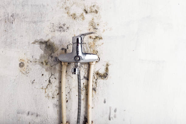 Best Water Damage Restoration  in Waterville, ME