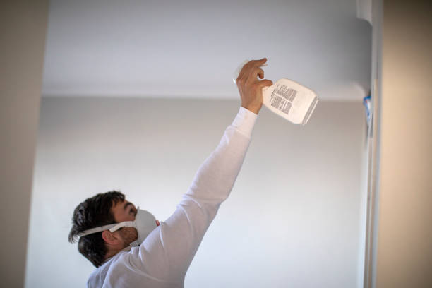 Best Residential Mold Removal  in Waterville, ME