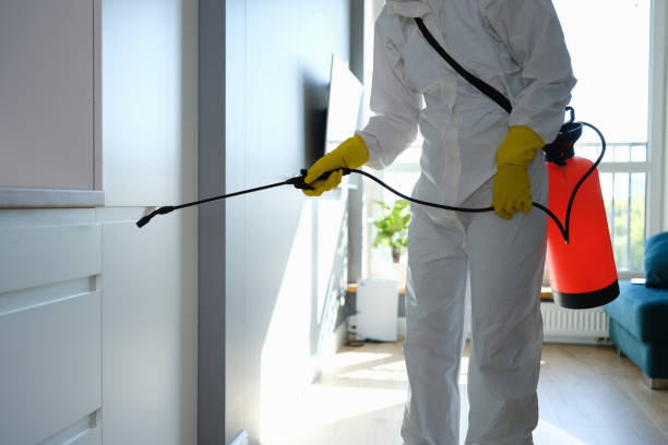 Trusted Waterville, ME Mold Removal Experts