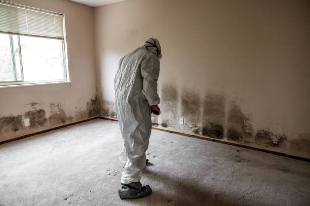 Water Damage Restoration in Waterville, ME